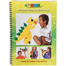 몰펀 어드밴스 가이드북 31950 76001, 1개