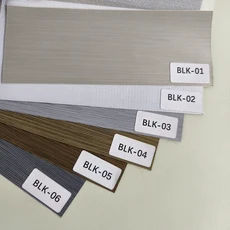 사용자 정의 크기 롤러 그늘 전동 창 블라인드 정전 얼룩말 블라인드 그늘 주야간 Windows 용 롤러 블라인