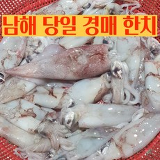 [남해산] 경매 발송 한치 (500g 10-20미 내외), 1박스, 500g