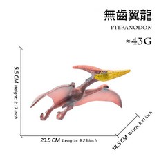 LUDUS ARS 無齒翼龍恐龍模型 實心硬膠科教玩具, 1個