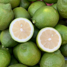 [2주한정판매] 산지직송 국내산 과즙팡팡 그린레몬, 1개, 2kg