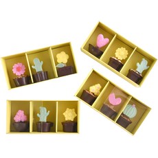 DIYOU 盆栽造型巧克力DIY組, 10種製作材料, 1組