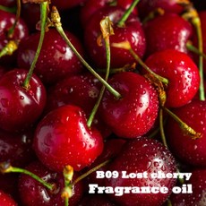 프래그런스 오일 B09 로스트체리 디퓨저 향수 달콤한과일향, 1개