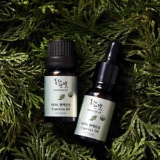 동해편백 편백오일 30ml hsm*4047zd, 1개