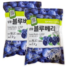 냉동 블루베리 2팩 (1kg*2팩), 1개, 2kg