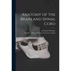 (영문도서) Anatomy of the Brain and Spinal Cord [electronic Resource] Paperback, Legare Street Press, English, 9781014268778