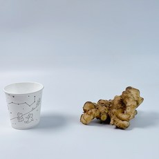 [산지직송] 국내산 영주 흙생강(세척) 최적가, 1박스, 2kg