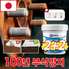 [일본기술] 1+1/2+2/3+3 대용량 초강력 녹 제거제 만능 녹제거제 선물 랜덤 증정, 4개, 300g