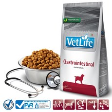 法米納Farmina VD4 犬用腸胃道配方 2kg VetLife獸醫寵愛天然處方犬糧 處方狗, 1個, 腸胃道配方