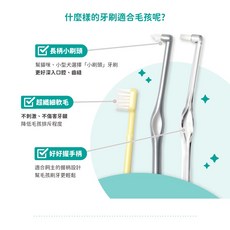 3貓2館 汪喵星球 犬貓專用牙刷 (細軟毛) 貓狗牙刷組｜寵物口腔清潔護理, 一般平頭, 1個