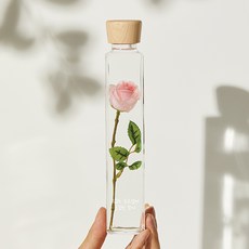 리비트 장미롱 꽃 무드등 기념일선물 수면등 여자친구 선물 100일, 핑크(오늘도 수고했어 / 꽃길만 걷자)