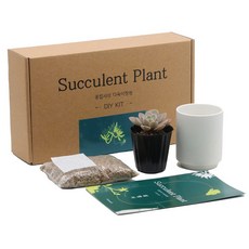 꽃집사의 다육이정원 미니화분 식물 키우기 키트 기르기