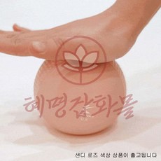 리우미 소프트 토닝볼 0.5KG 2개 1세트 샌디 로즈 필라테스볼미니볼