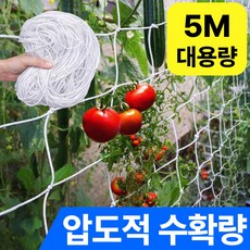 가든파티 농사 그물망 오이그물망 5 m x 1.67m, 1개