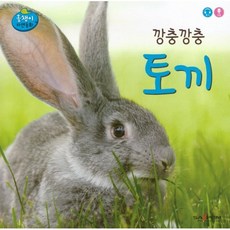 깡충깡충 토끼, 인북