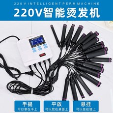 셋팅펌 기계 직펌기 디지털 열 파마 펌기 셀프 열펌 열, B. 220V 미니 디지털 핫 20 는 20 바를 얻습, B. 220V 미니 디지털 핫 20 헤드는 2