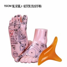 한의원 발 15cm 리플렉솔로지 모형 혈자리 실습 경혈위치 20cm 제품 마네킹 훈련, 5.15CM 발 모형+가슴 마사지 스틱