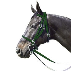 Exselle Horse Bridle - 조절 가능한 고무 그립 말 고삐가 있는 내구성 있는 나일론 경주마 굴레 Cavesson 및 커브 스트랩 부착 - 말용 잉글리시 굴레