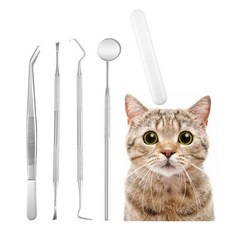 강아지 고양이 동물용 전문 의료기기 치석제거기 셀프 스케일링 스케일러, 1개