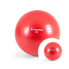 다이어트 짐볼 65cm 운동기구 스트레칭기구