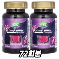 네이쳐스웨이 기침 릴리프 이뮨 삼부커스 구미, 1개, 72회분