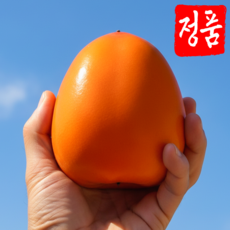 햇 대봉감 홍시 산지직송, 2-3) 10kg 특로얄 [20-25과], 1박스