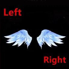 자동차 문 환영 램프 의례 레이저 프로젝터, 8. WINGS 2 LOGO, 1개