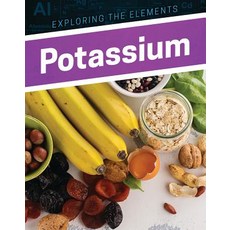 (영문도서) Potassium Library Binding, Enslow Publishing, English, 9781978503694