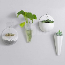 도도몰 미니 다육 화분 다육이, 반원투명