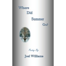(영문도서)Where Did Summer Go? Hardcover, Vabella Publishing, English, 9798894500102
