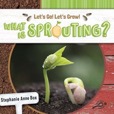 (영문도서) What Is Sprouting? Paperback, Discovery Library Jr, English, 9781731652232