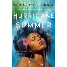 (영문도서) Hurricane Summer Paperback, Wednesday Books, English, 9781250843463