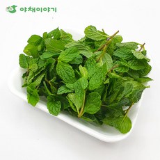 야채이야기 애플민트 생잎 100g, 1개