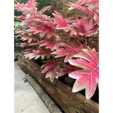 仿真盆栽 裝飾佈置 人造植物盆栽, 1個