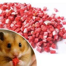 동결건조 딸기다이스 햄스터 간식, 단품, 1개, 5g
