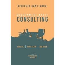 (영문도서) Government Audit Consulting: What it is What it is for How to do it Paperback, Independently Published, English, 9798357946911