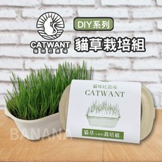 貓咪旺農場 小麥草栽培組 DIY種植 貓草 小麥草種子, 1個