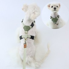 왕왕왕성 강아지 h형하네스 앞섬방지 가슴줄, 1개, 밀크그린
