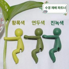 수경식물 고정기 생장 보조 지지대 사무실 책상 장식용, 기본 색상, 1개