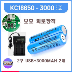 VTXKOREA LI-ON 배터리 2개 USB충전기_2구 콤보세트, 1세트