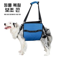 대형견 이동가방 애견 소형견 보행보조 강아지 포대기 중 A. 검정 A. M 39x24cm, B. 파랑