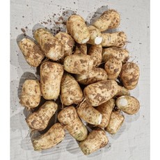 국내산 무청제거 알타리무 5kg, 1박스, 5000