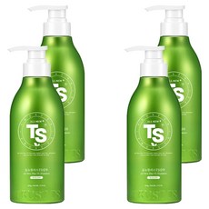 TS 올뉴 플러스 티에스 샴푸, 500g, 4개