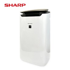 【SHARP 夏普】19坪自動除菌離子空氣清淨機 FP-J80T-W