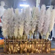 핑크뮬리 갈대 인테리어 팜파스, 내추럴 대형 갈대 1m 60cm