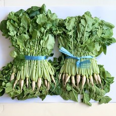 채소애 국내산 생 열무, 1박스, 2단 (3kg)