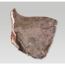 홍어 날개(찜용-삭힘) 1kg, 1개