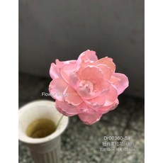 牡丹 索拉花 乾燥花材, 8cm,芋色
