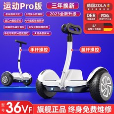 전동 밸런스 자전거 성인용 두발 입문 바이크, 36V화이트듀얼컨트롤/블루투스+8인치방폭휠