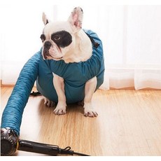 반려견 드라이복 털말림 목욕용품, 1